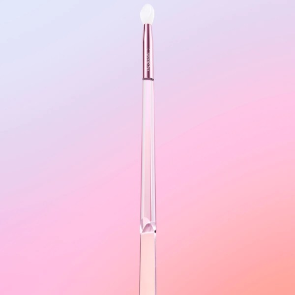 Lip Scrub & Mask Brush